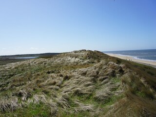 Dünen und Meer