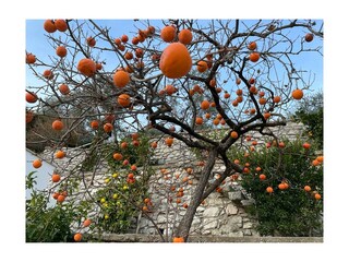 Appartement Limone sul Garda Omgeving 36