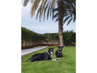 Appartamento per vacanze La Manga del Mar Menor Registrazione all'aperto 5