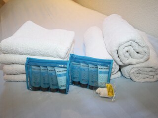 Casa per le vacanze De Koog Caratteristiche 20