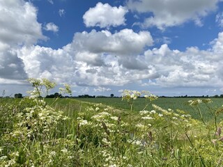 Casa per le vacanze Menaldum Registrazione all'aperto 6