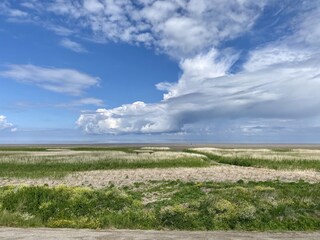Casa per le vacanze Menaldum Ambiente 28