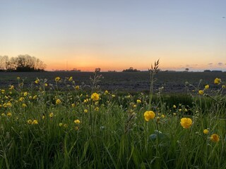 Casa per le vacanze Menaldum Ambiente 29