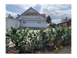 Casa de vacaciones Güntersberge Grabación al aire libre 4