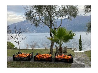 Appartamento Limone sul Garda Ambiente 38