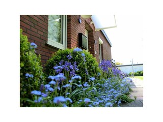 Fassade / Eingang