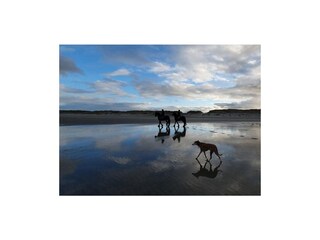 Appartement de vacances Buren Environnement 30