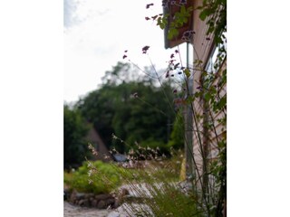 Casa de vacaciones Ulsnis Grabación al aire libre 5