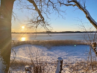 Winterstimmung vom Grundstück aus