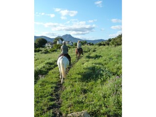 Reiten beim Nachbarn