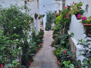 Finca Casares Omgeving 27