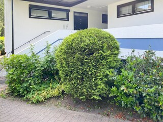 Eingangsbereich
