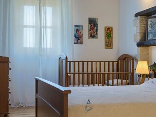 Villa Tinjan Caratteristiche 23