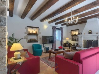 Villa Tinjan Caratteristiche 16