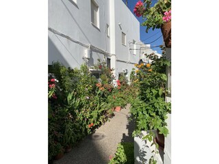 Casa de vacaciones Conil de la Frontera Entorno 25