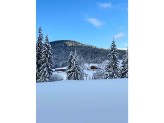 Blick auf den Tuxerhof