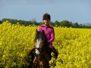 Reiten Sie durch die Rapsfelder