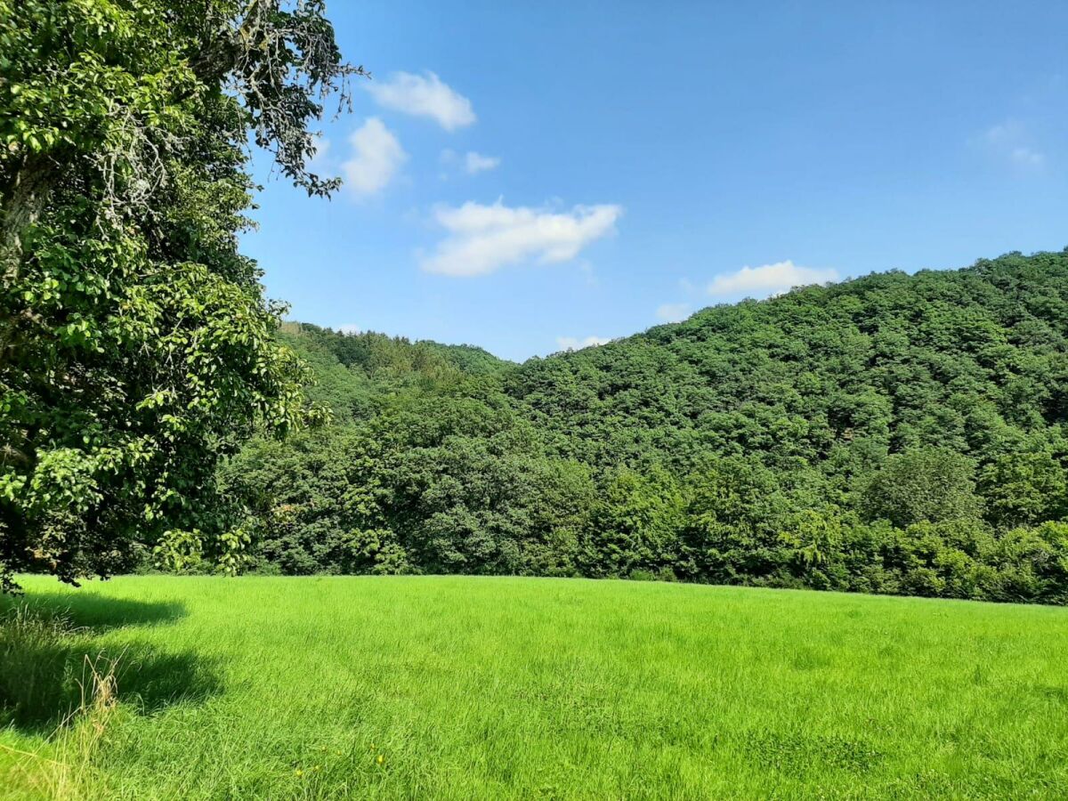 Landschaft in der näheren Umgebung