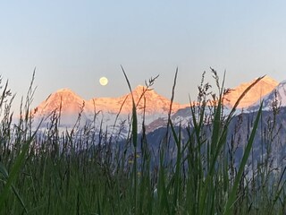Aussicht auf Eiger Mönch und Jungfrau