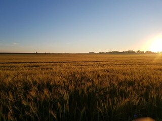 Appartamento per vacanze Putgarten Ambiente 14