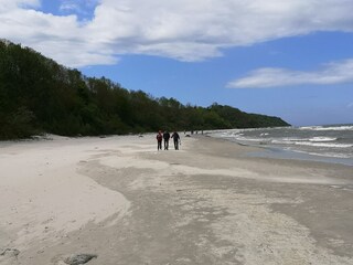 Vakantieappartement Putgarten Omgeving 15