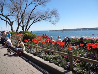 Promenade