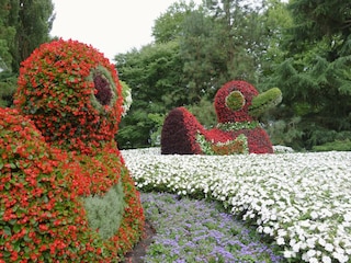 Mit den Schiff gut erreichbar: Die Blumeninsel Mainau