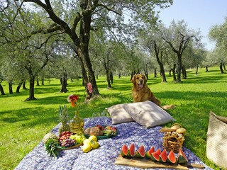 Villa Toscolano-Maderno Buitenaudio-opname 19