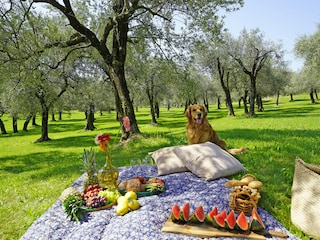 Villa Toscolano-Maderno Outdoor Recording 19