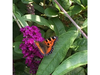 Garten Landhaus Friedel