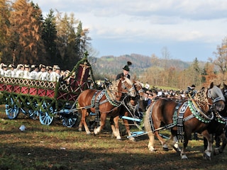 Leonhardifahrt in Bad Tölz