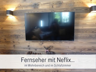 TV-Wand im Wohnzimmer