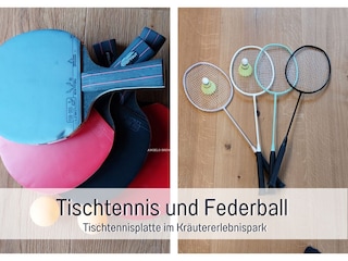 Tischtennis und Federball