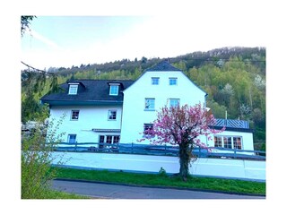 Appartement Enkirch Enregistrement extérieur 6