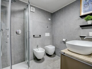 Appartamento San Felice del Benaco Caratteristiche 18