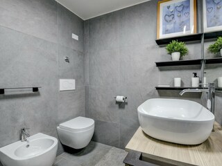 Appartamento San Felice del Benaco Caratteristiche 33