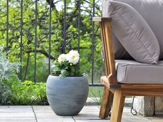 Villa Nedescina Registrazione all'aperto 10