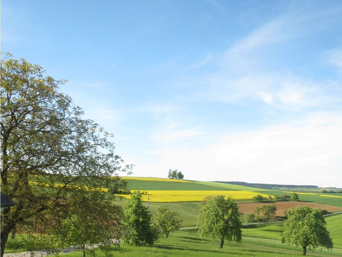 Ortszufahrt und Ausschnitt Alpakaweide