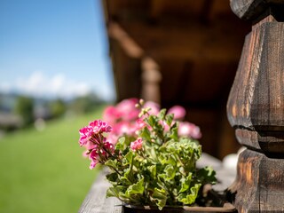 Appartamento per vacanze Alpbach Registrazione all'aperto 10