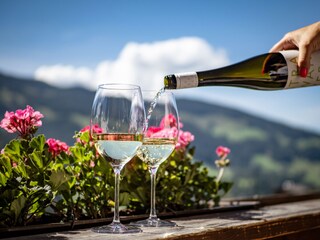 Appartamento per vacanze Alpbach Registrazione all'aperto 11