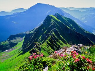 Appartamento per vacanze Alpbach Ambiente 27