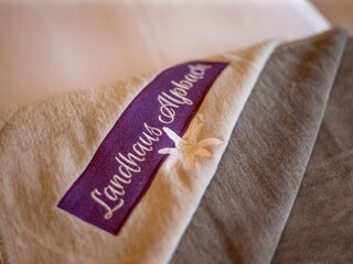 Appartamento per vacanze Alpbach Caratteristiche 22