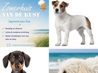 Appartamento per vacanze Egmond aan Zee Caratteristiche 18