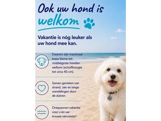 Appartamento per vacanze Egmond aan Zee Caratteristiche 21