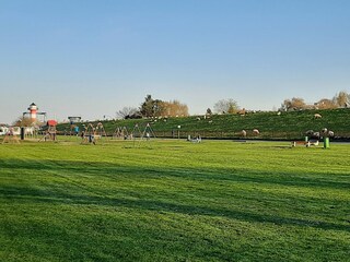 Appartement de vacances Grünendeich Environnement 25