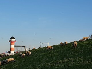 Apartamento de vacaciones Grünendeich Entorno 26