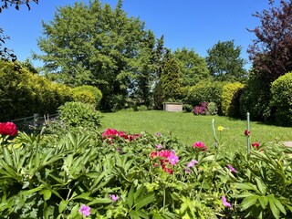 Blick aus der Küche in den Garten hinten