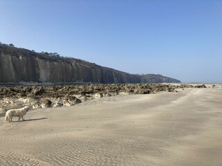 Casa per le vacanze Hautot-sur-Mer  29