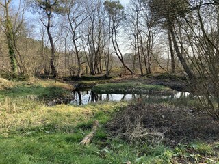 Casa per le vacanze Hautot-sur-Mer  34