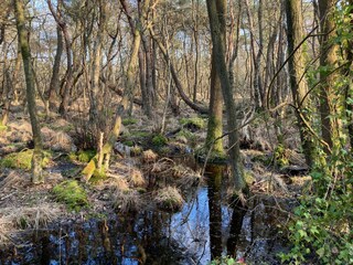 Casa per le vacanze Hautot-sur-Mer  48
